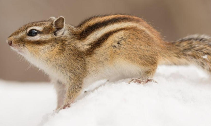 深圳零零柒壹壹安防科技公司轮播图1